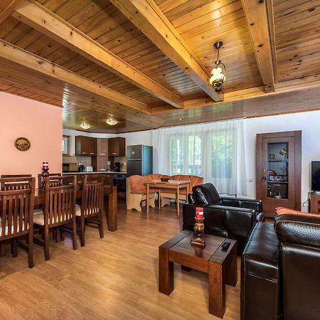 Oasis Mountain Villa Брашов Экстерьер фото