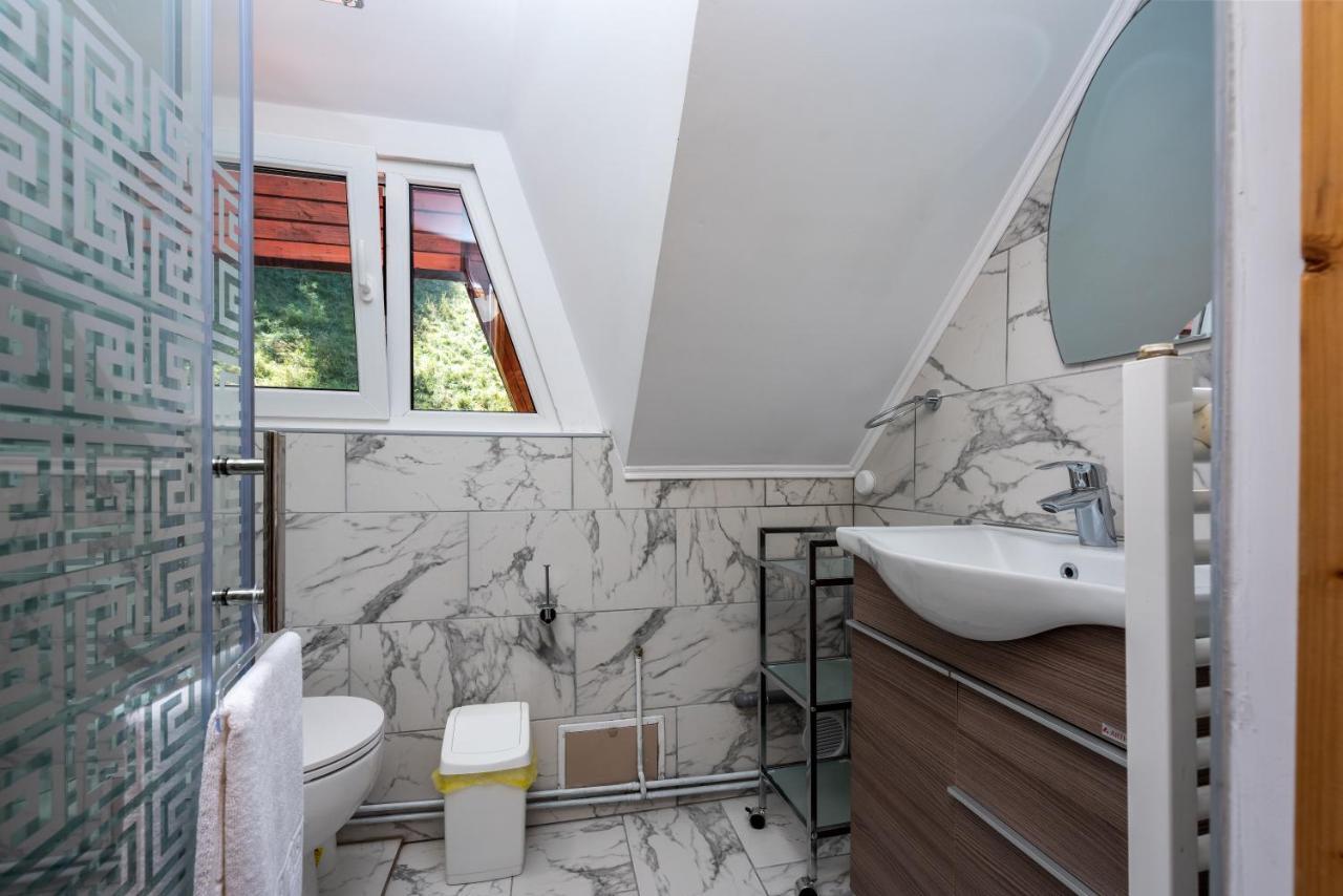 Oasis Mountain Villa Брашов Экстерьер фото