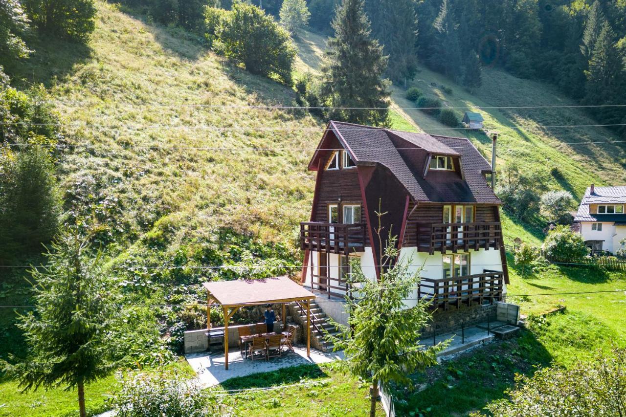 Oasis Mountain Villa Брашов Экстерьер фото