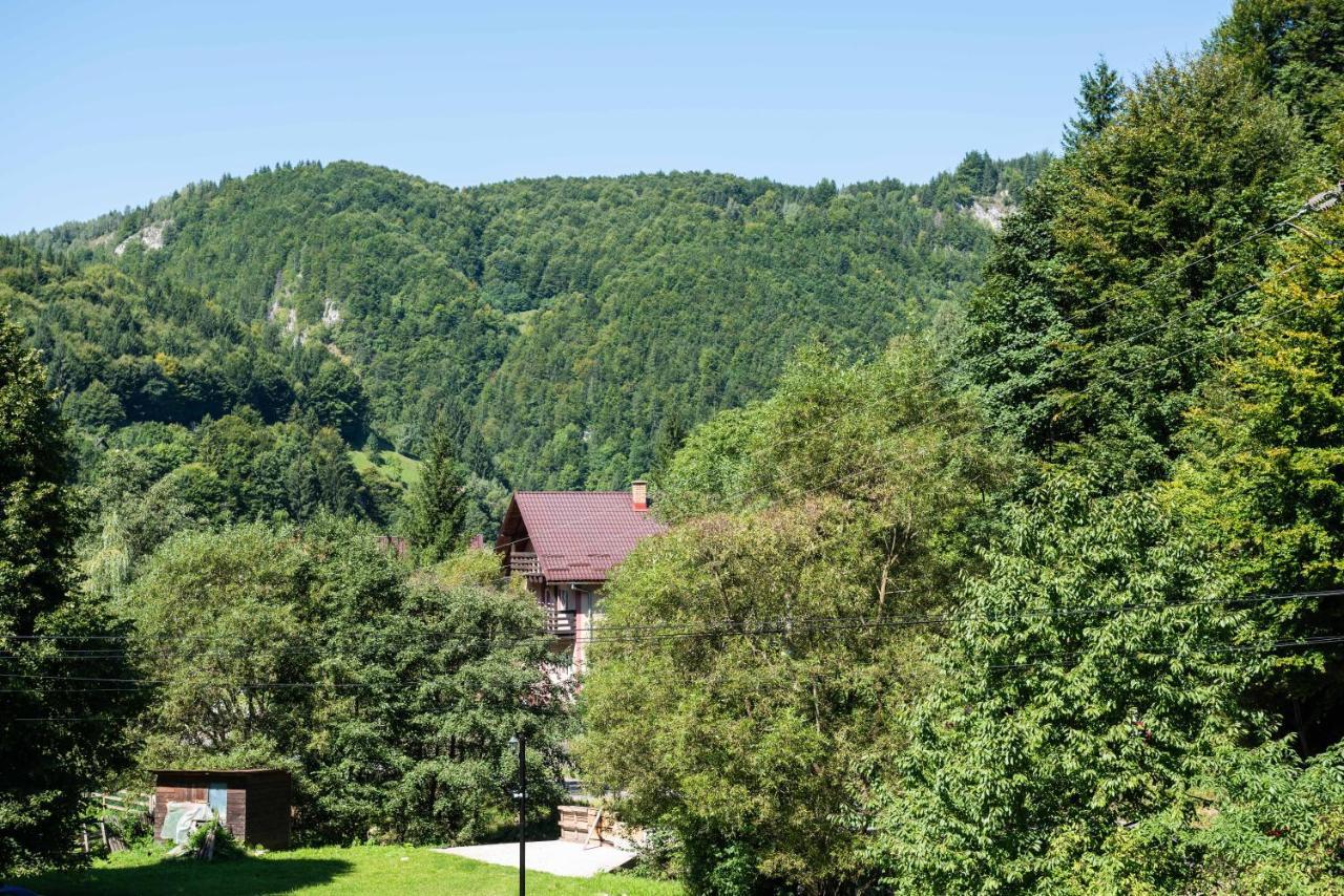 Oasis Mountain Villa Брашов Экстерьер фото